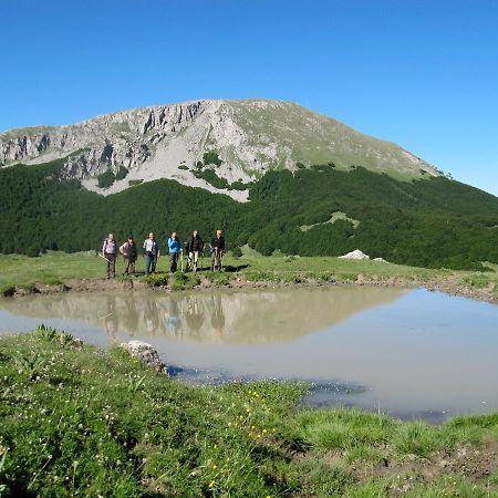 B&B Sole Del Pollino Rotonda Zewnętrze zdjęcie