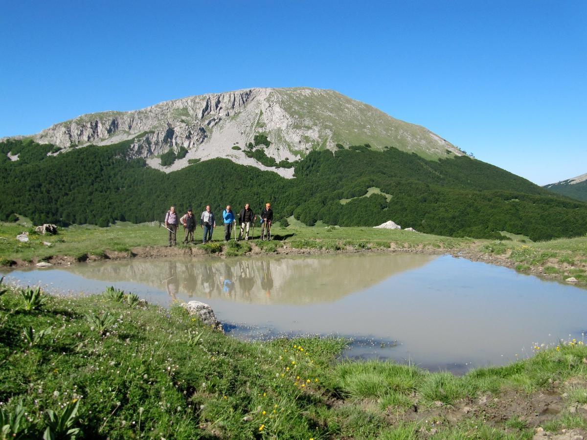 B&B Sole Del Pollino Rotonda Zewnętrze zdjęcie