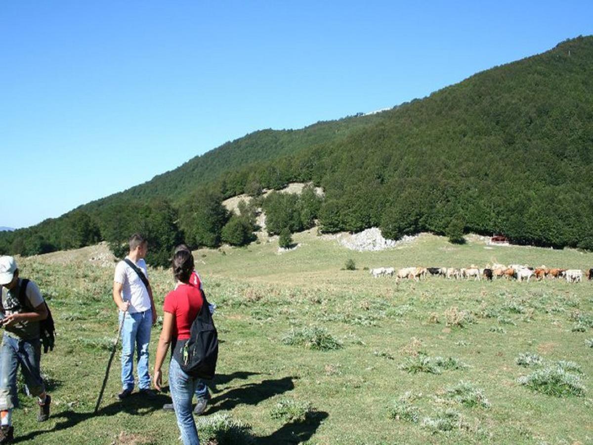 B&B Sole Del Pollino Rotonda Zewnętrze zdjęcie