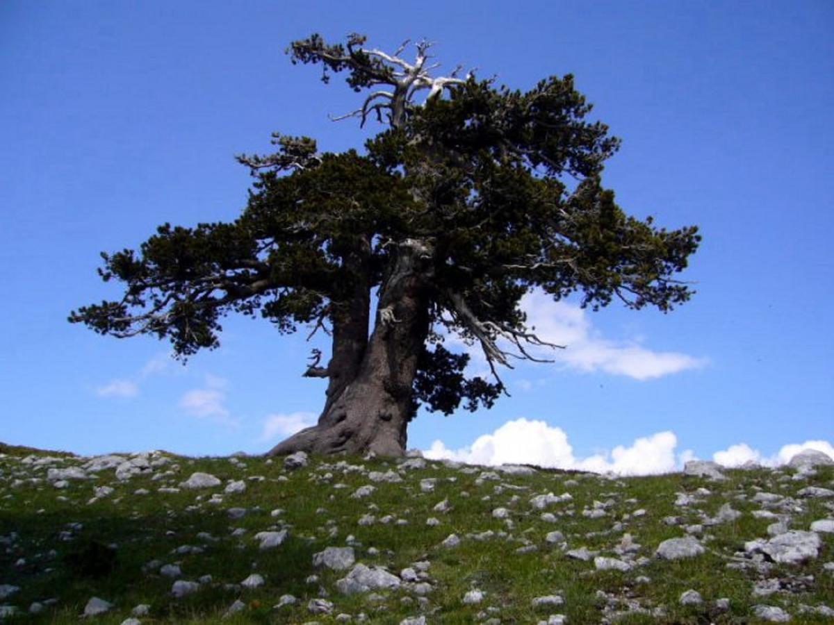 B&B Sole Del Pollino Rotonda Zewnętrze zdjęcie